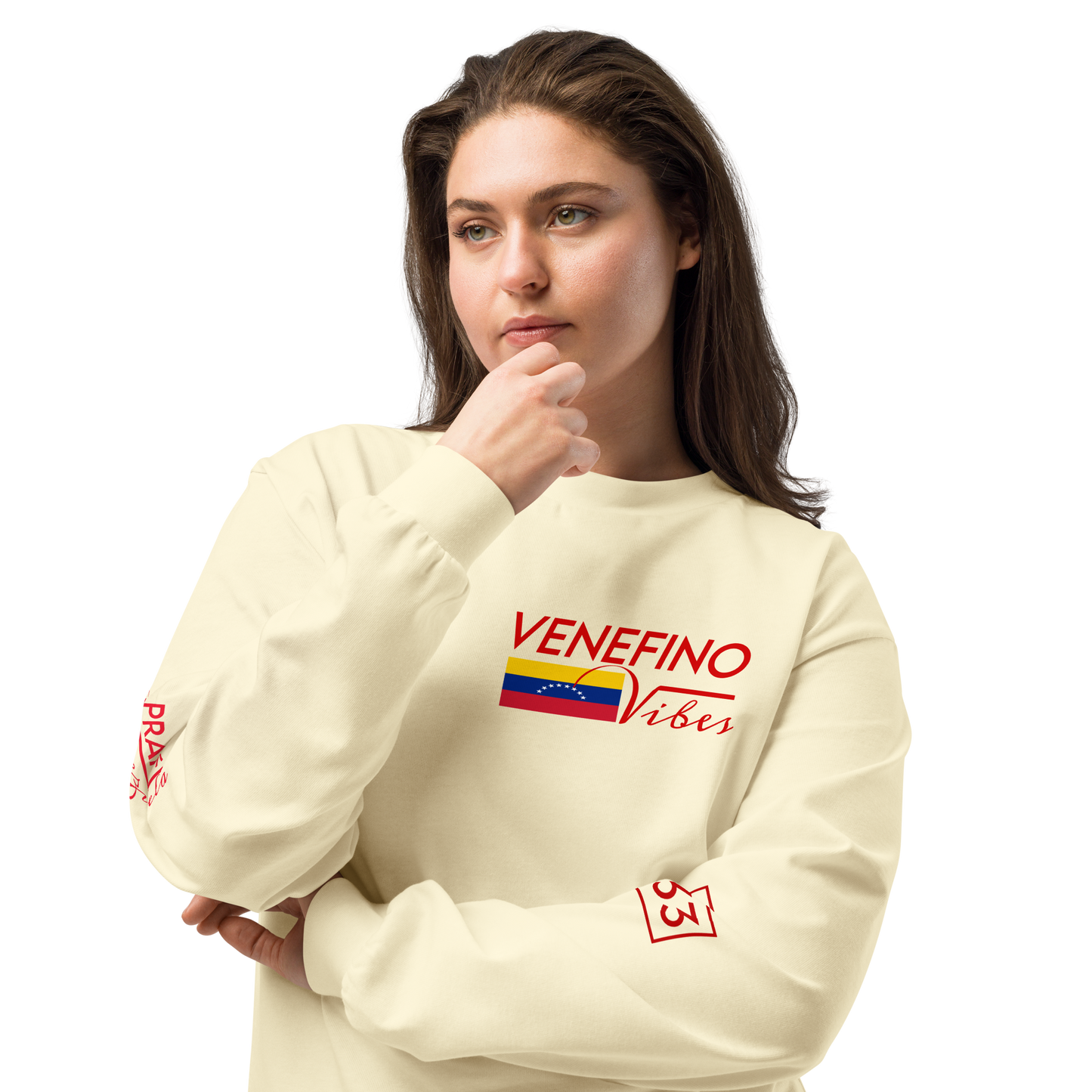 Pray for Venezuela Premium heavyweight long sleeve shirt