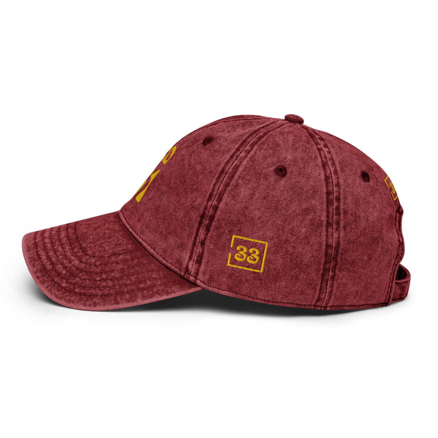 PRO 31 Vintage Cotton Twill Cap